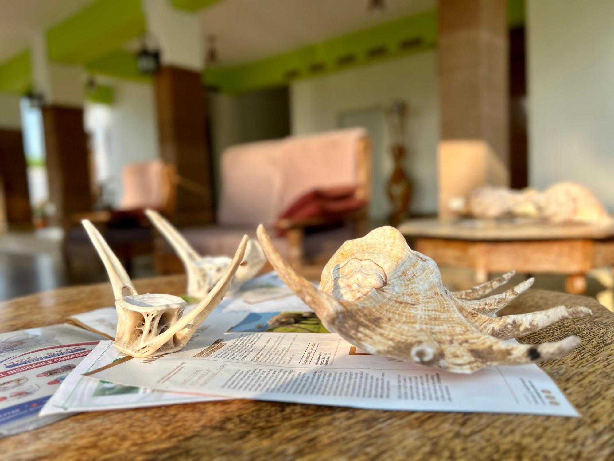 Zanoceanique Hotel Matemwe  Dış mekan fotoğraf